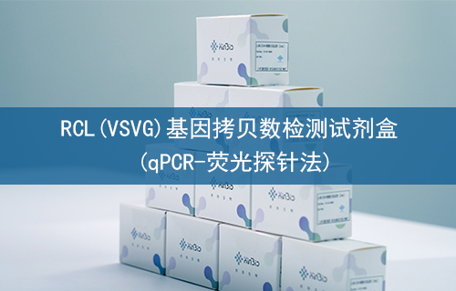 RCL(VSVG)基因拷贝数检测试剂盒 (qPCR-荧光探针法)